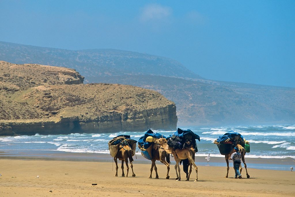 Image Maroc en famille - Séjour multi-activités - Voyage Essaouira - Randonnée Chameliere
