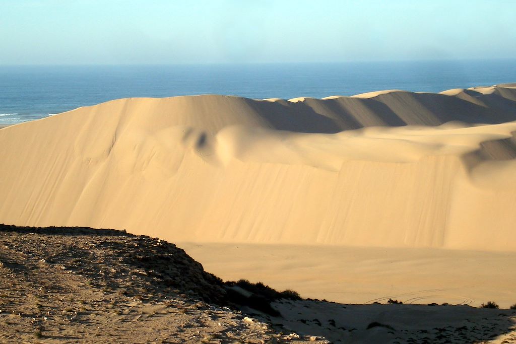 Image Maroc en famille - Séjour multi-activités - Voyage Essaouira - Randonnée Chameliere