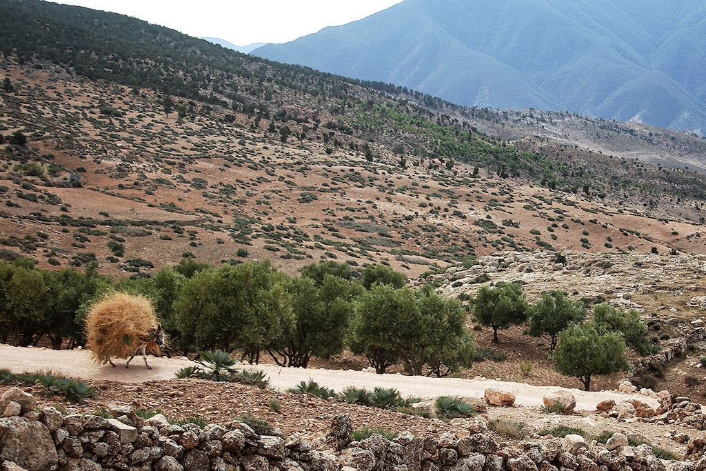 Image Vallée de l'Ourika en vélo - Haut Atlas en VTT