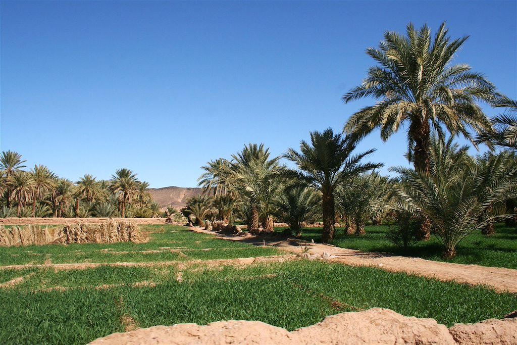Image Maroc en famille – Trek Désert - Vallée du Draa - Voyage Ouarzazate - campement désert