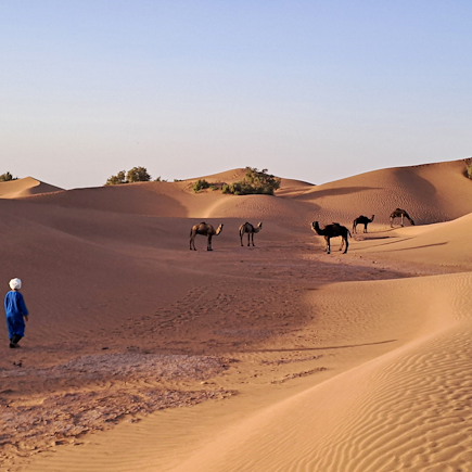 Randonnée Maroc Sahara