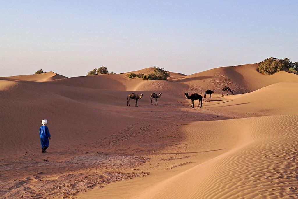Image Randonnée Maroc – Trek Sahara - Voyage Ouarzazate
