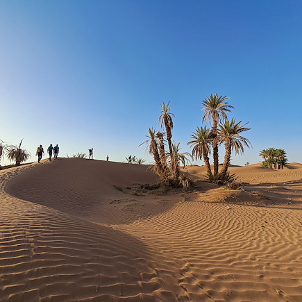 Randonnée Maroc Sahara