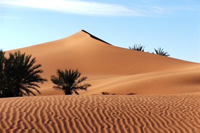 Dunes de la vallée du Drâa - Maroc
