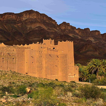 Casbah du Drâa et désert