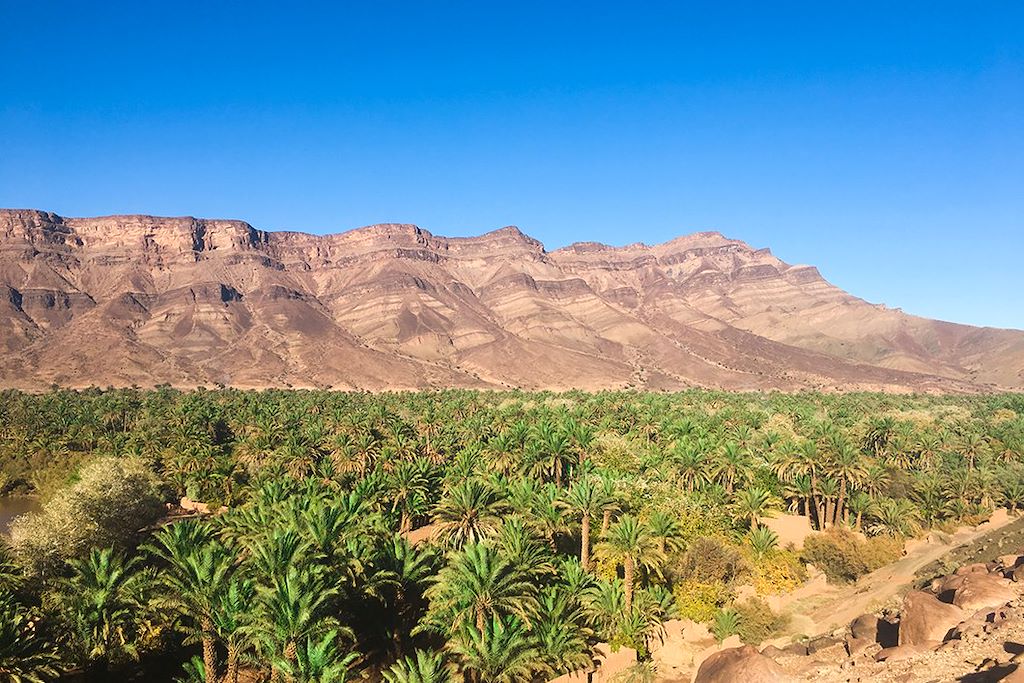 Image Desert marocain - Trek désert - Vallée du Draa - palmeraie d'Agdz