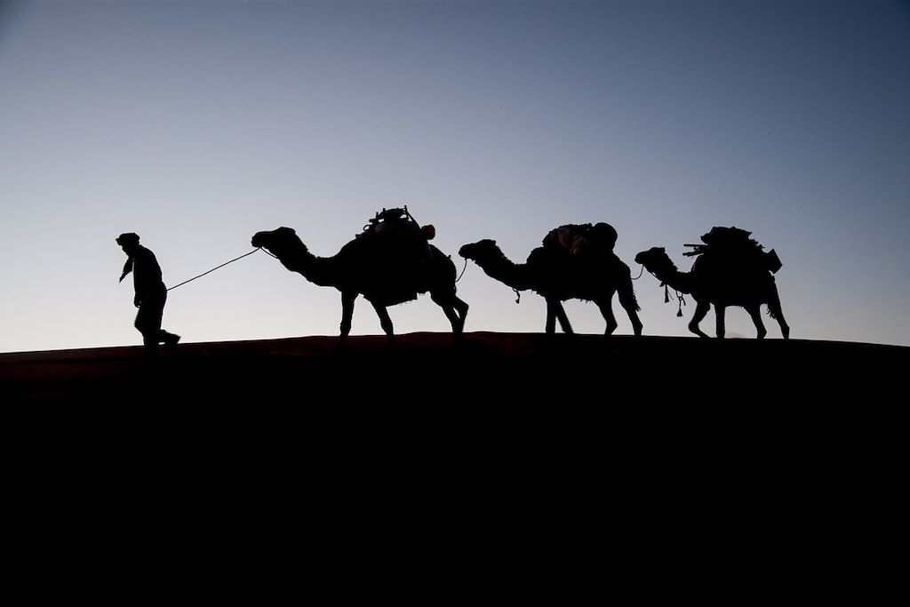 Image Randonnée Chamelière Dunes De Merzouga - vallée des roses - Oued Mgoun