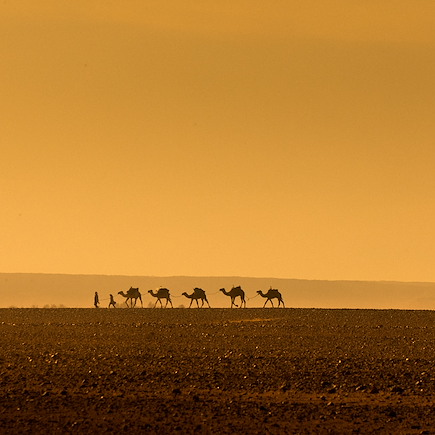 Randonnée Maroc Sahara