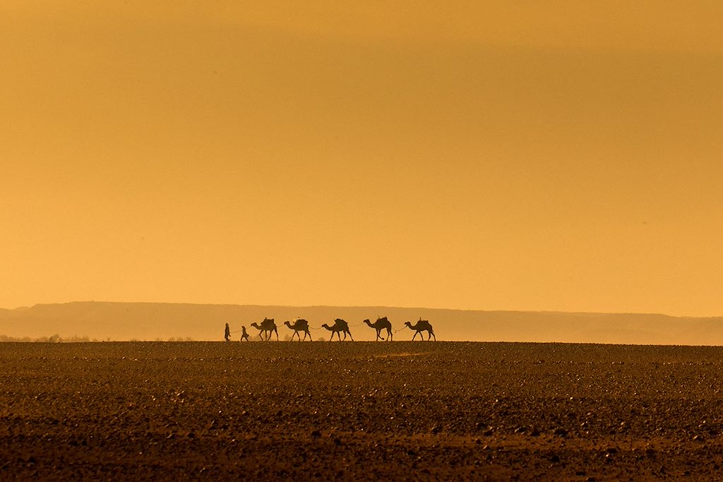 Image Randonnée Chamelière Dunes De Merzouga - vallée des roses - Oued Mgoun