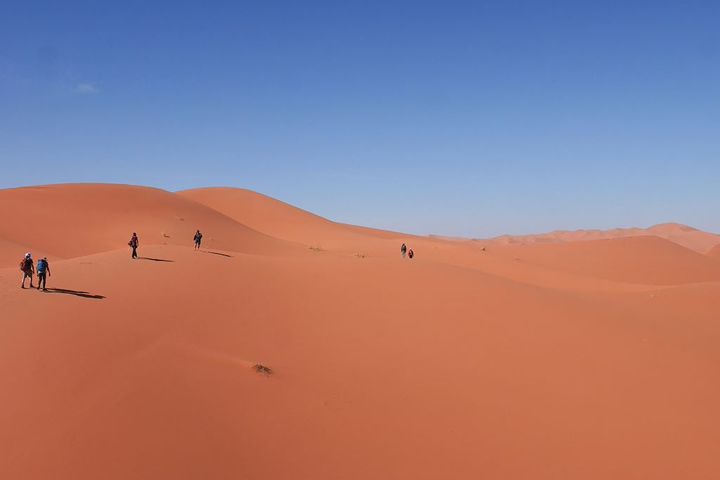 Image Randonnée Chamelière Dunes De Merzouga - vallée des roses - Oued Mgoun