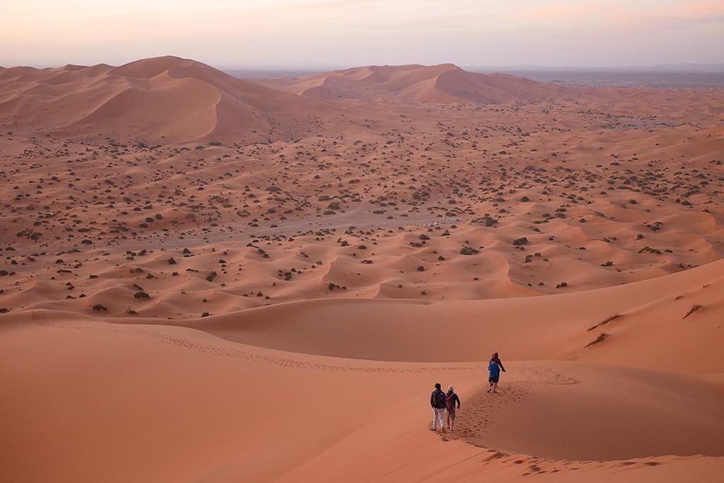 Image Randonnée Chamelière Dunes De Merzouga - vallée des roses - Oued Mgoun