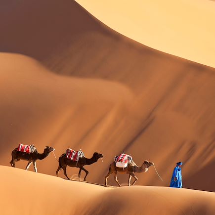 Randonnée Maroc Sahara