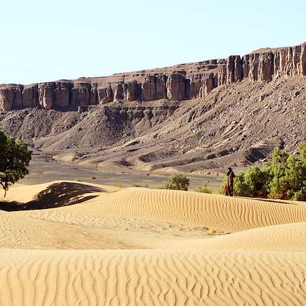 Tout au sud, le grand désert 