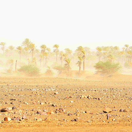 Randonnée Maroc Sahara