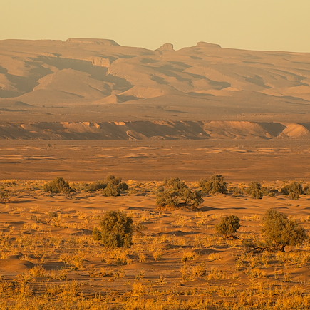 Randonnée Maroc Sahara