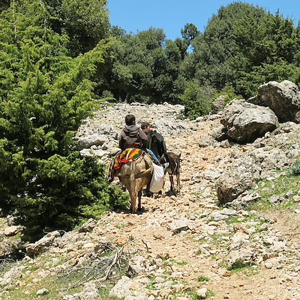 Découverte Maroc