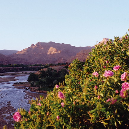Randonnée Maroc Atlas