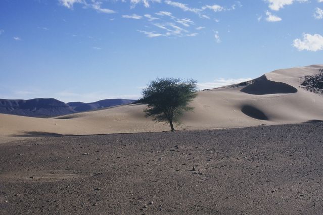 Image De la montagne au désert