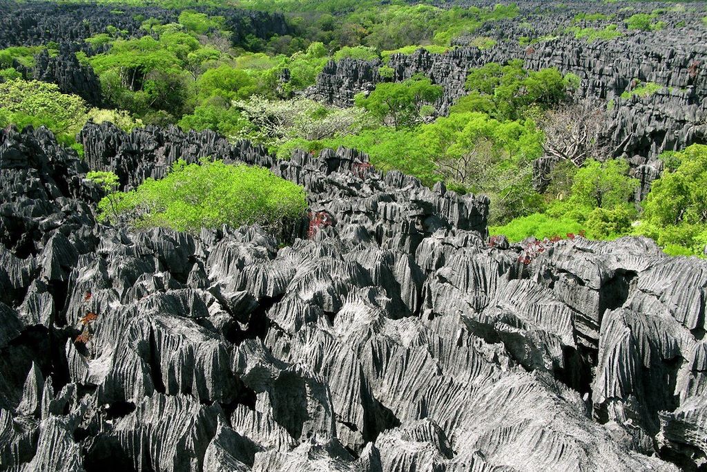 Voyage Madagascar