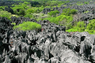 Voyage Tsingy Ankarana et Bemahara