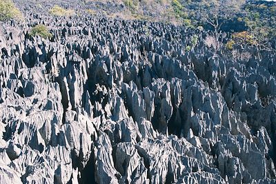 Parc national Tsingy - Madagascar