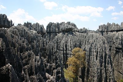 Tsinqy de Bemahara - Madagascar