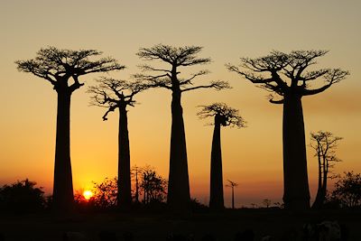 Grand tour du sud de Madagascar