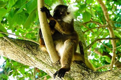 Nosy Tanikely - Madagascar