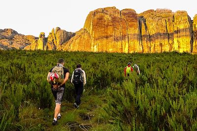 Parc national d'Andringitra - Madagascar