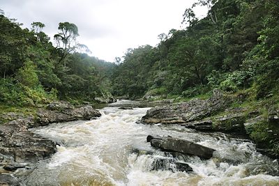 Le parc national de Ranomafana - Madagascar