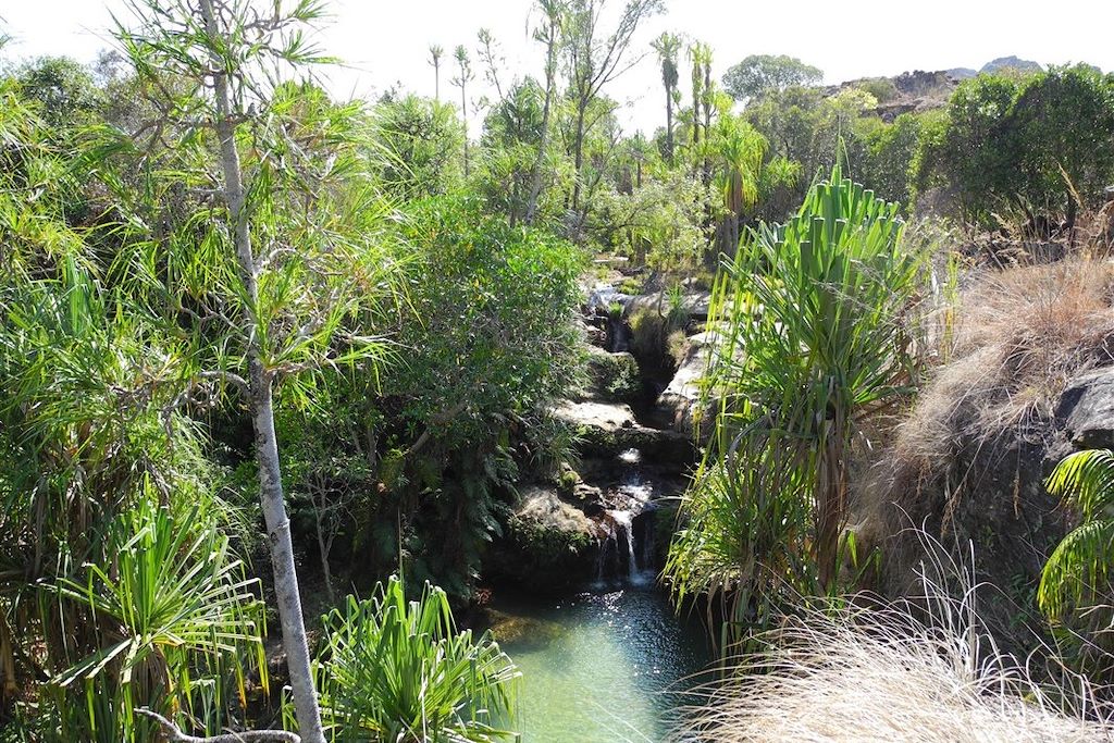 Image Voyage Madagascar - Isalo - Ranomafana - canal des pangalanes - Tuléar - Tananarive