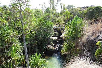 Parc National Isalo - Madagascar