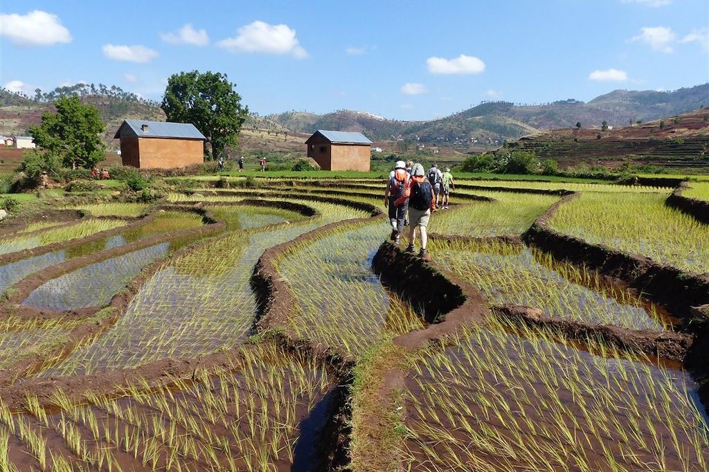 Image Voyage Madagascar - Isalo - Ranomafana - canal des pangalanes - Tuléar - Tananarive