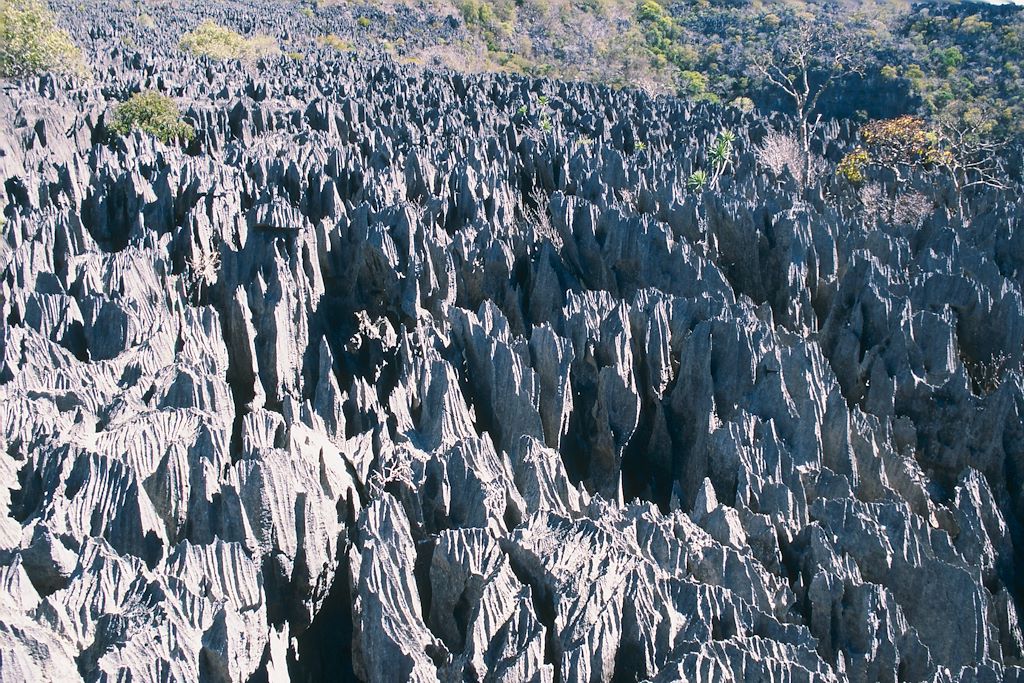 Image Voyage Madagascar - Trek Isalo - Tsiribihina