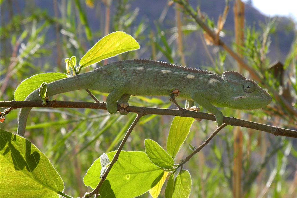 Image Randonnée Madagascar - Hautes terres - canal Mozambique - Isalo