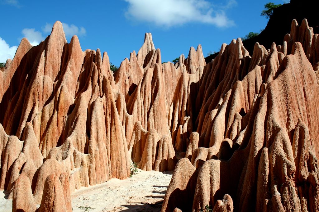 Image Trek Madagascar - Voyage Nosy Be - Croisière Nosy Be - Tsingys Ankarana