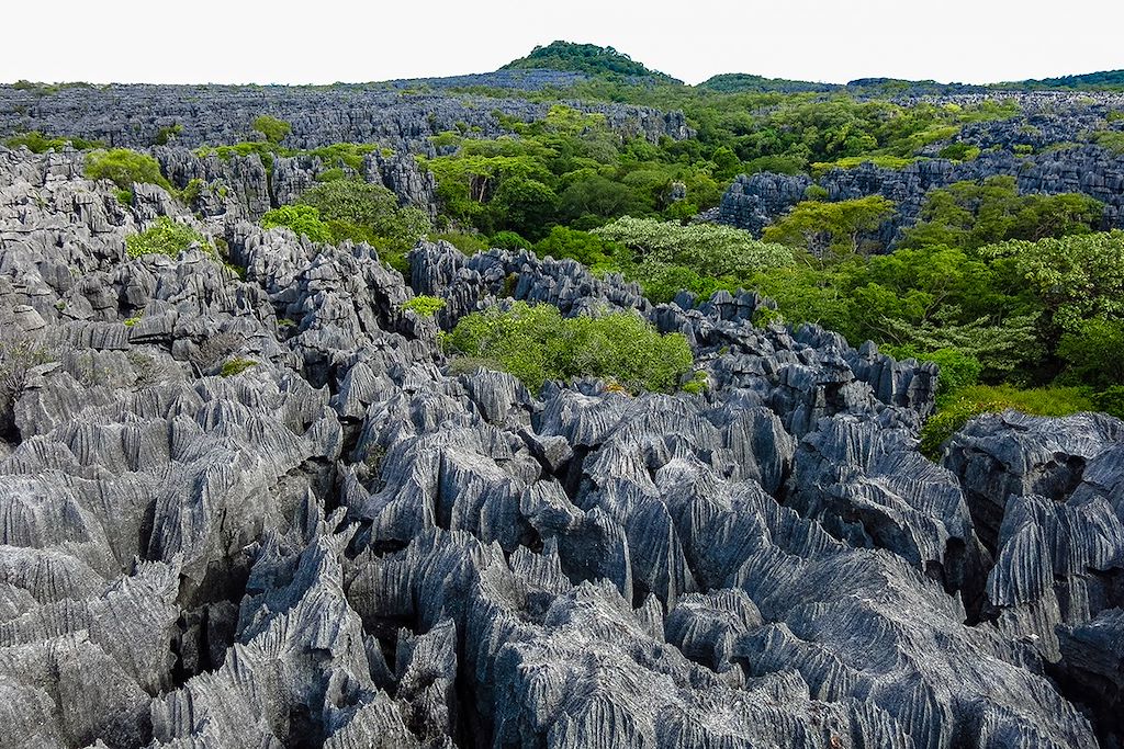Image Trek Madagascar - Voyage Sava - Tsingy rouges - Parc national de Marojejy