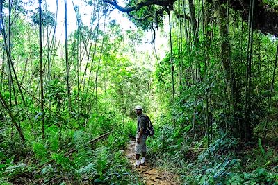 Découverte Madagascar