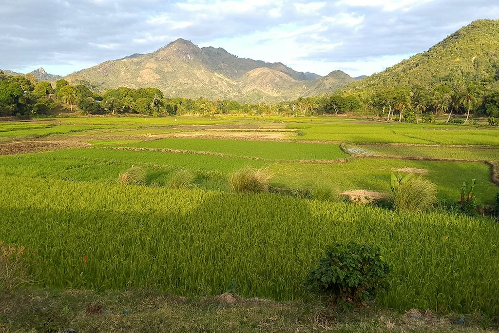 Image Trek Madagascar - Voyage Sava - Tsingy rouges - Parc national de Marojejy
