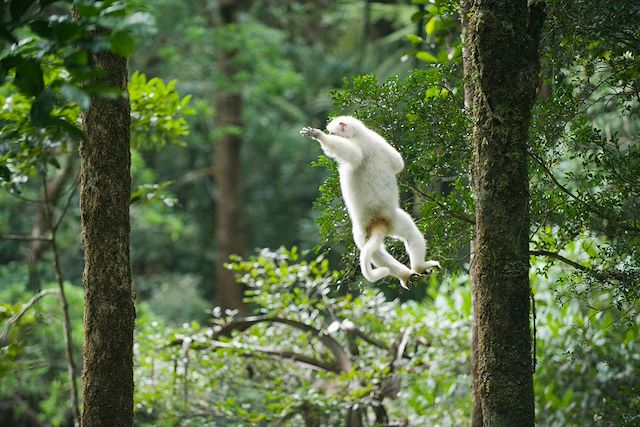 Voyage Sentier caché au pays de la vanille et des Tsingys