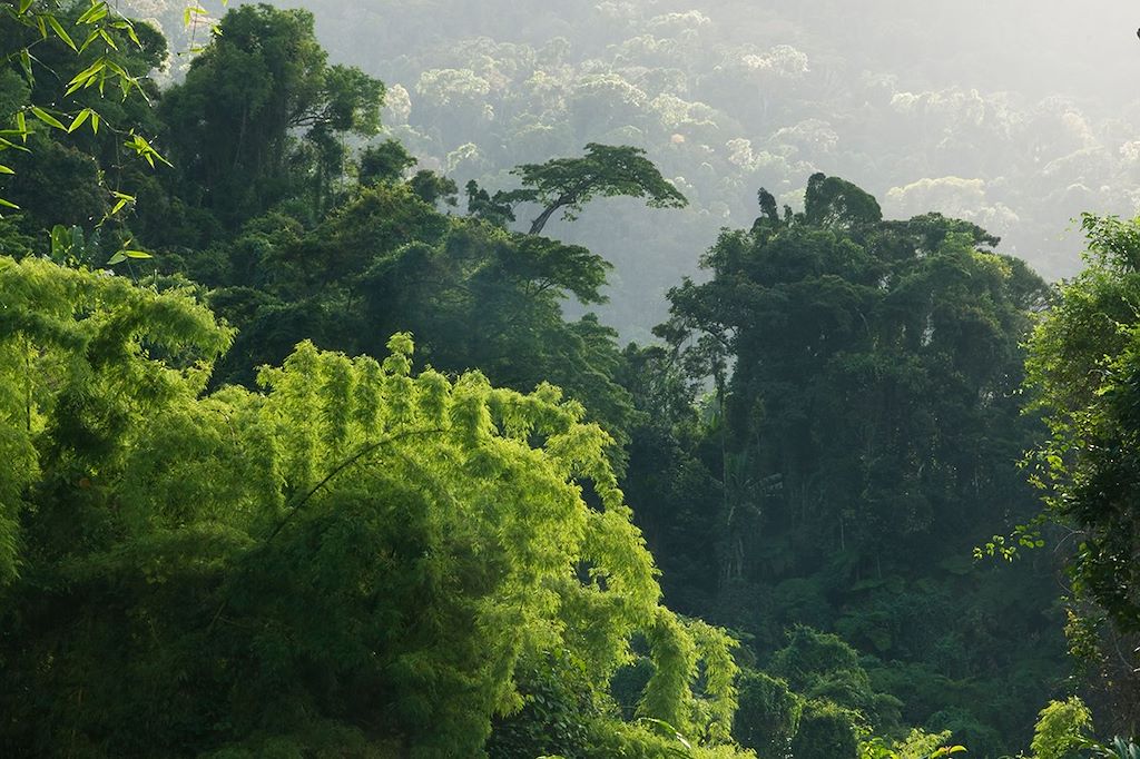 Image Trek Madagascar - Voyage Sava - Tsingy rouges - Parc national de Marojejy