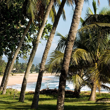 Randonnée Madagascar Nord Malgache  et nosy bé