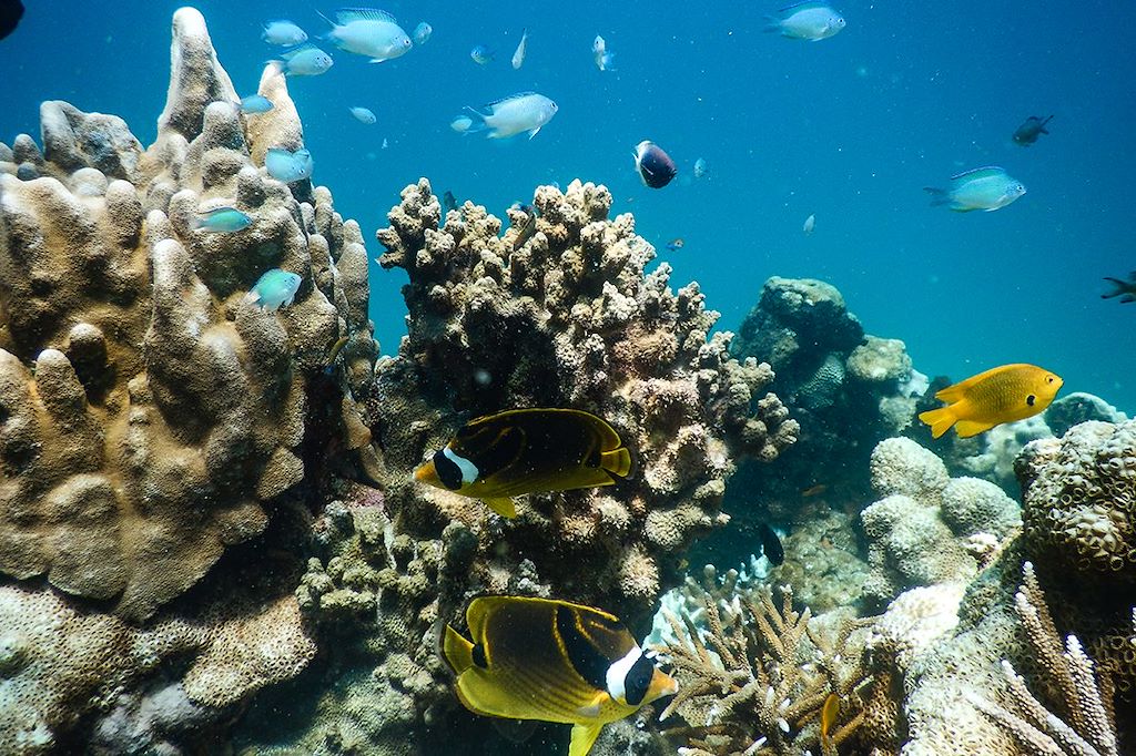 Image Trek Madagascar - Voyage Nosy Be - Parc national de la Montagne d'Ambre