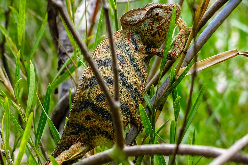 Image Trek Madagascar - Voyage Nosy Be - Parc national de la Montagne d'Ambre