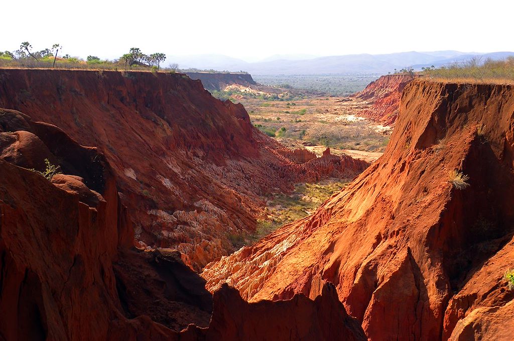 Image Voyage Madagascar - Trek Isalo - Andringitra - Nosy Komba