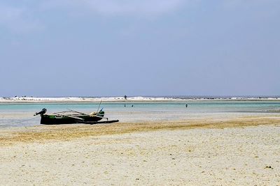 Voyage  Tsingy Ankarana et Bemahara