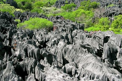 Réserve naturelle intégrale du Tsingy de Bemaraha - Madagascar