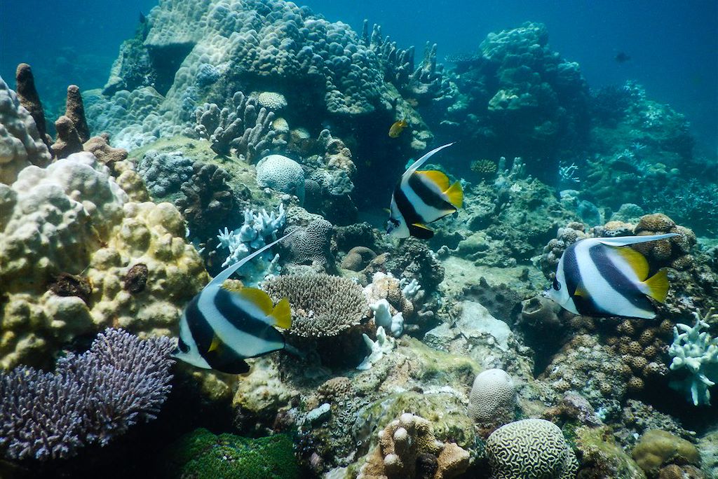 Image Découverte Madagascar - Voyage Nosy Be - Ankarana