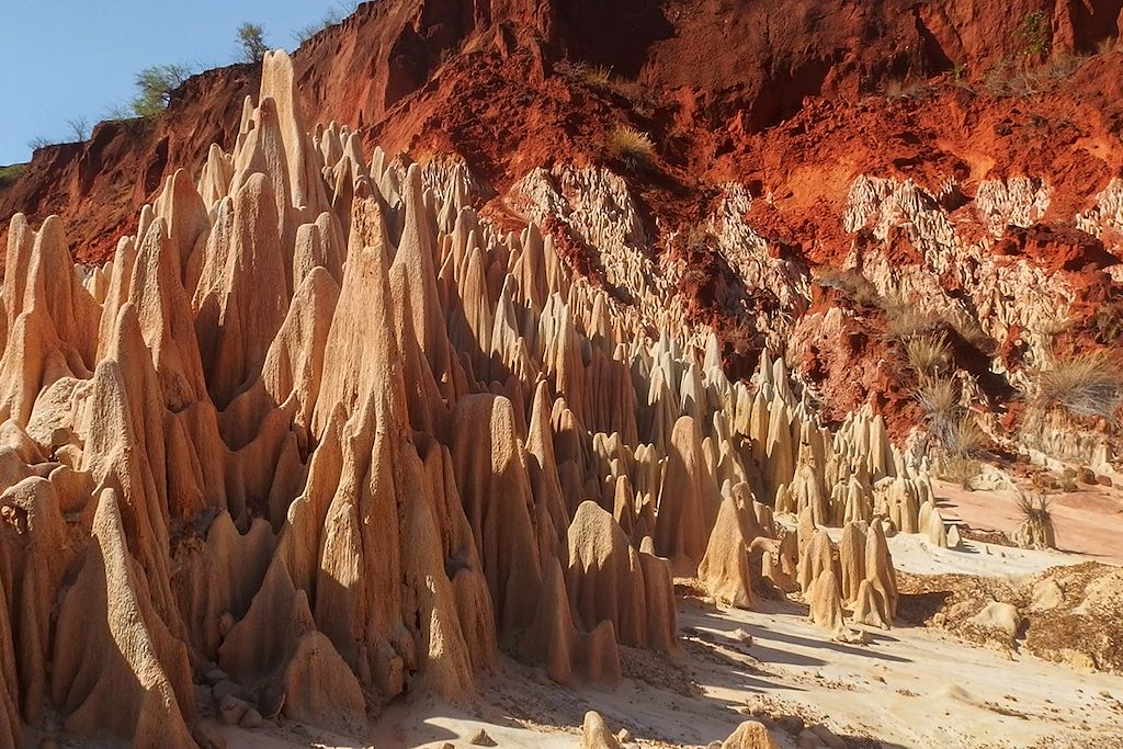 Image Découverte Madagascar - Voyage Nosy Be - Ankarana