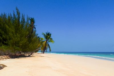 Voyage  Nord Malgache  et nosy bé